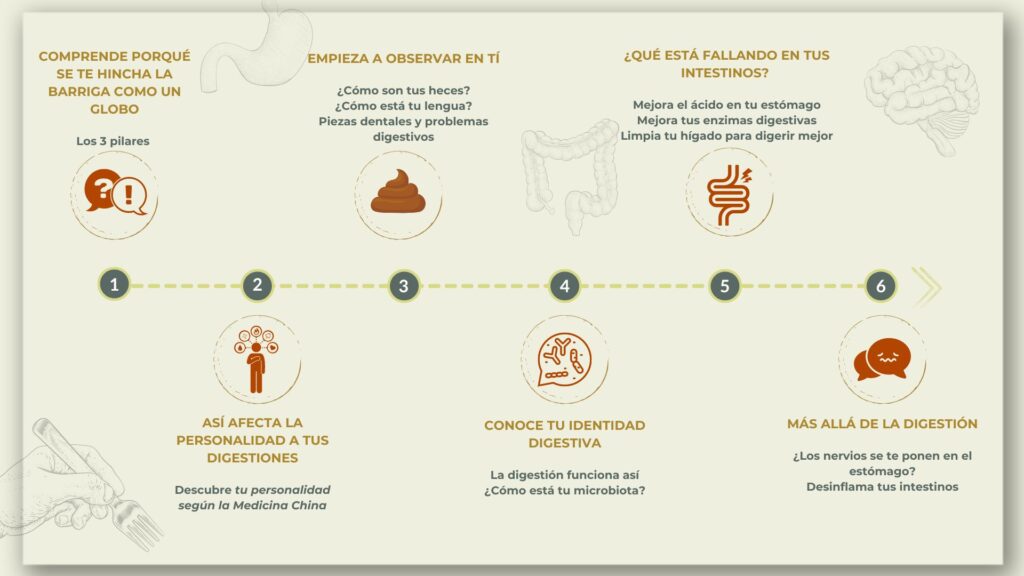 Programa del método "Recupera tu salud digestiva con Medicina China" (1-6 sesiones)