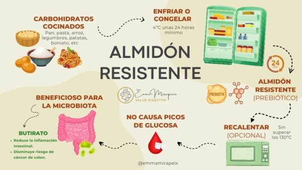 Almidón Resistente Prebiótico Butirato Emma Mirapeix