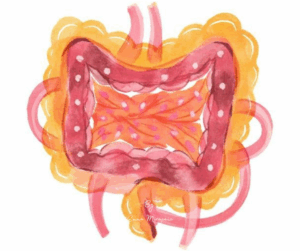Intestino permeablilidad intestinal Emma Mirapeix