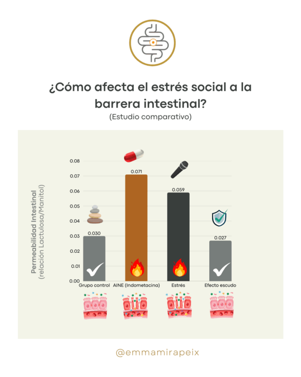 Permeabilidad-intestinal-Estres-Emma-Mirapeix