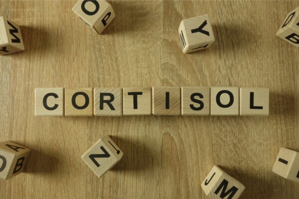 cortisol estrés social
